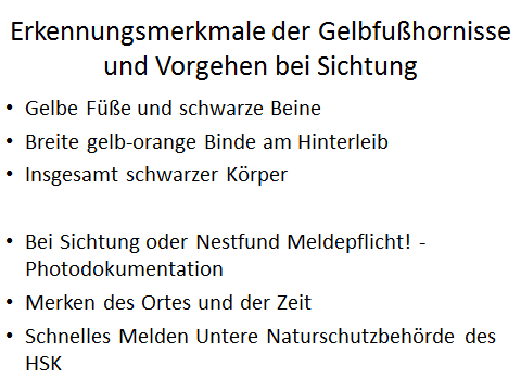 Bild1